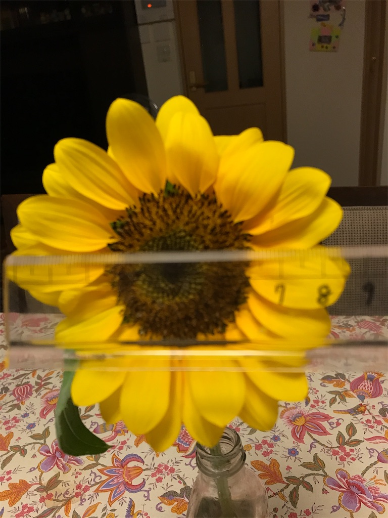 f:id:sutekidane:20210806184358j:image f:id:sutekidane:20210806184358j:image