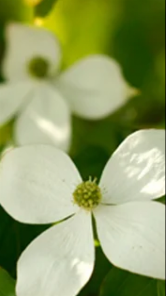 f:id:sutekidane:20210912124624p:image f:id:sutekidane:20210912124624p:image