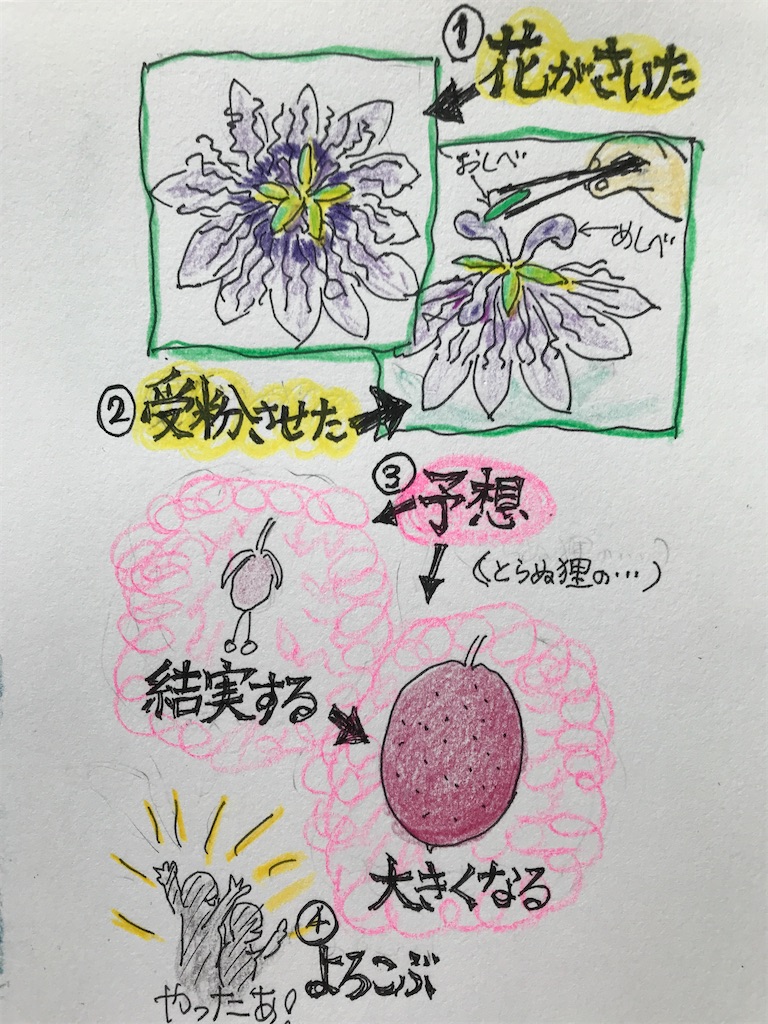f:id:sutekidane:20211007083617j:image f:id:sutekidane:20211007083617j:image