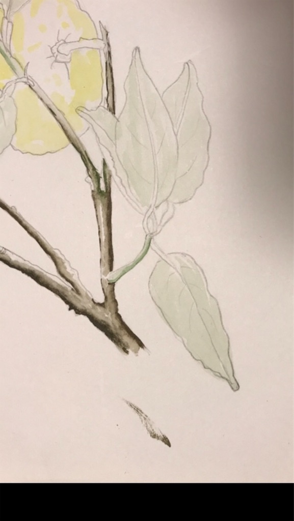 f:id:sutekidane:20220103135942j:image