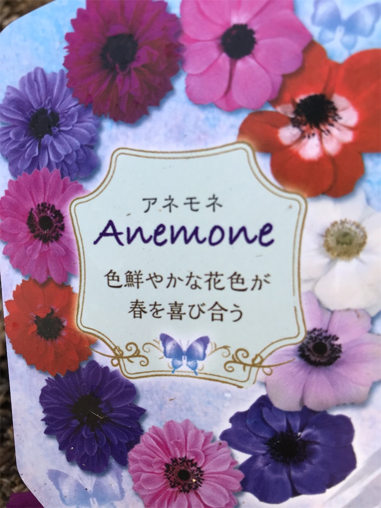 f:id:sutekidane:20220221094316j:image