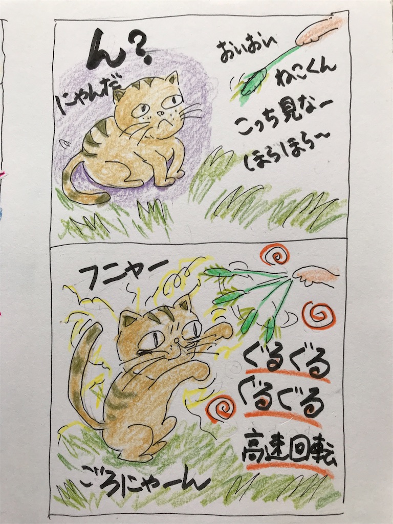 f:id:sutekidane:20220622115824j:image f:id:sutekidane:20220622115824j:image