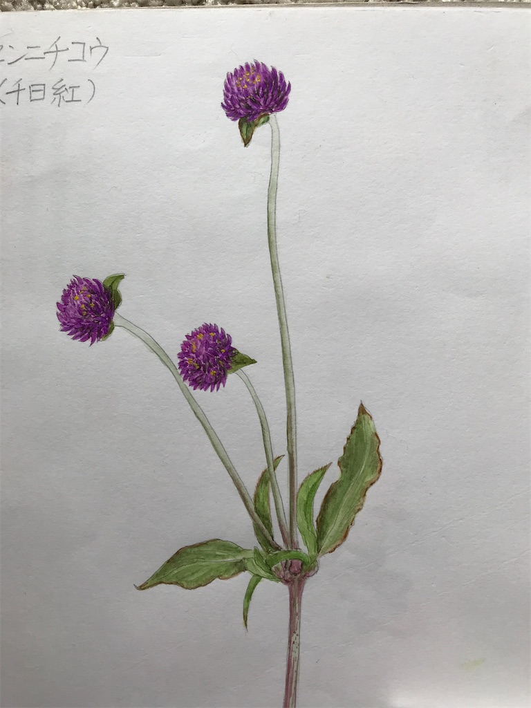 f:id:sutekidane:20220711142639j:image f:id:sutekidane:20220711142639j:image