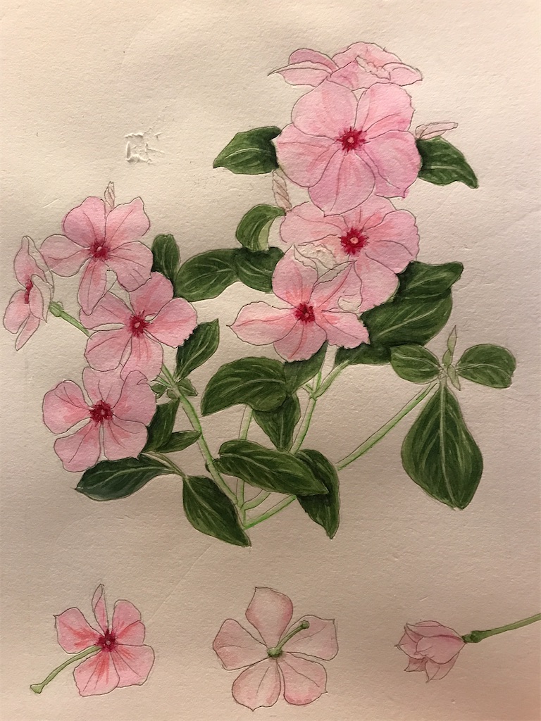 f:id:sutekidane:20220711143413j:image f:id:sutekidane:20220711143413j:image