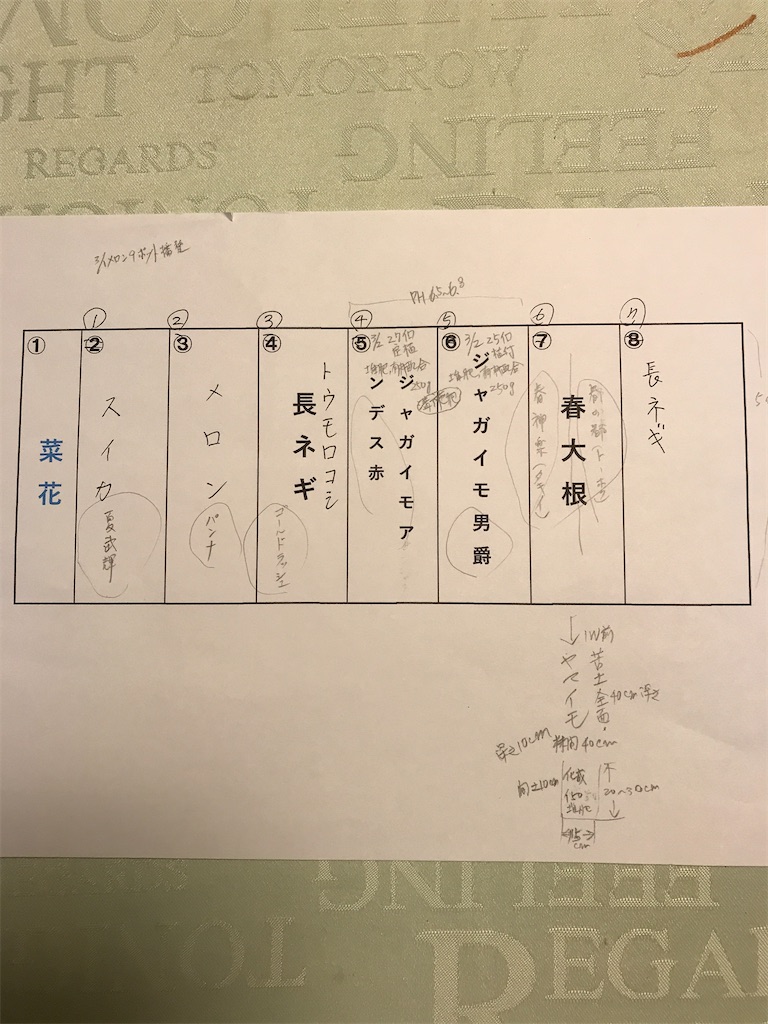 f:id:sutekidane:20220718053556j:image f:id:sutekidane:20220718053556j:image