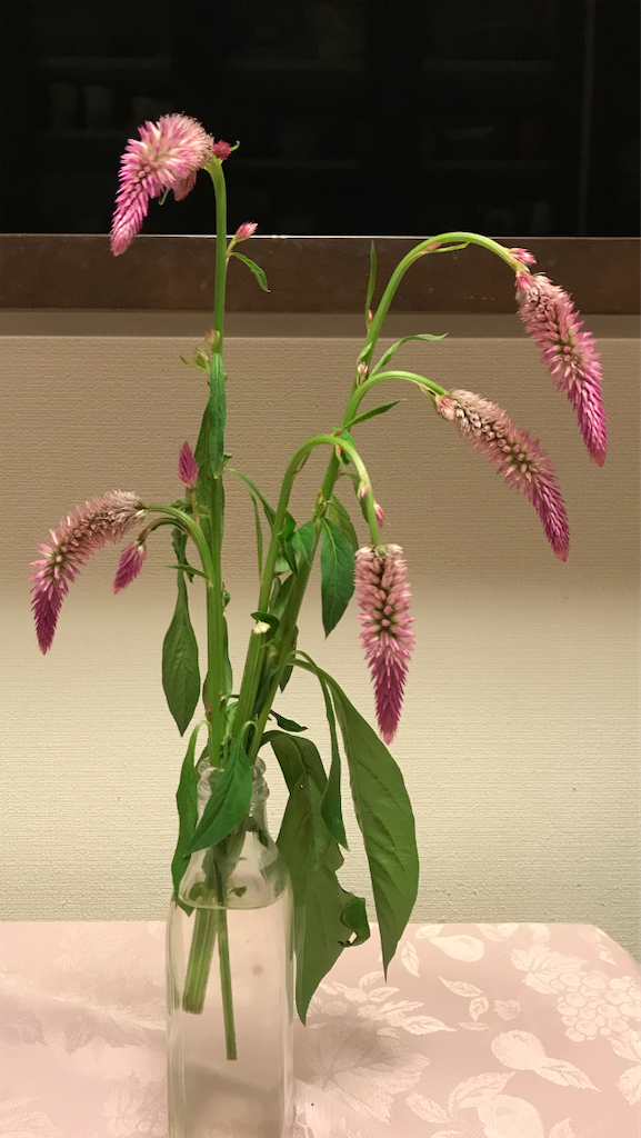 f:id:sutekidane:20220806044141p:image f:id:sutekidane:20220806044141p:image
