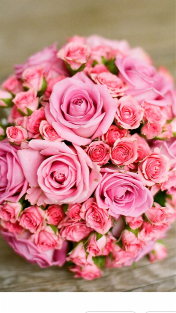f:id:sutekidane:20220814084400p:image f:id:sutekidane:20220814084400p:image