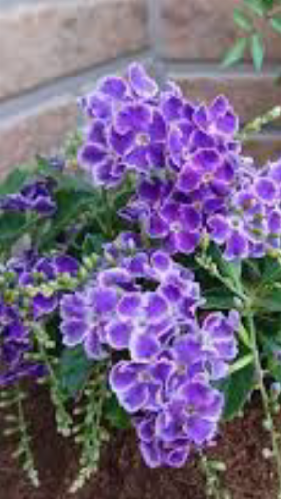f:id:sutekidane:20220914102959p:image f:id:sutekidane:20220914102959p:image