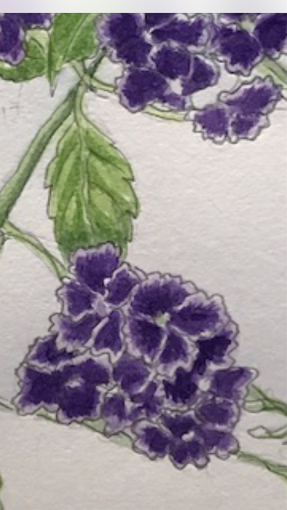 f:id:sutekidane:20220914114112p:image f:id:sutekidane:20220914114112p:image