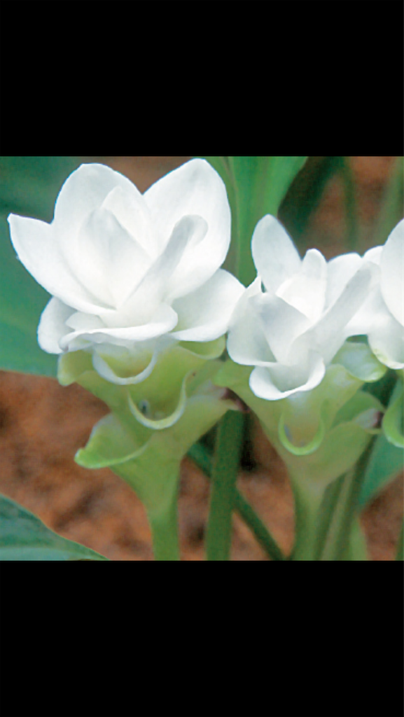 f:id:sutekidane:20221001103135p:image f:id:sutekidane:20221001103135p:image