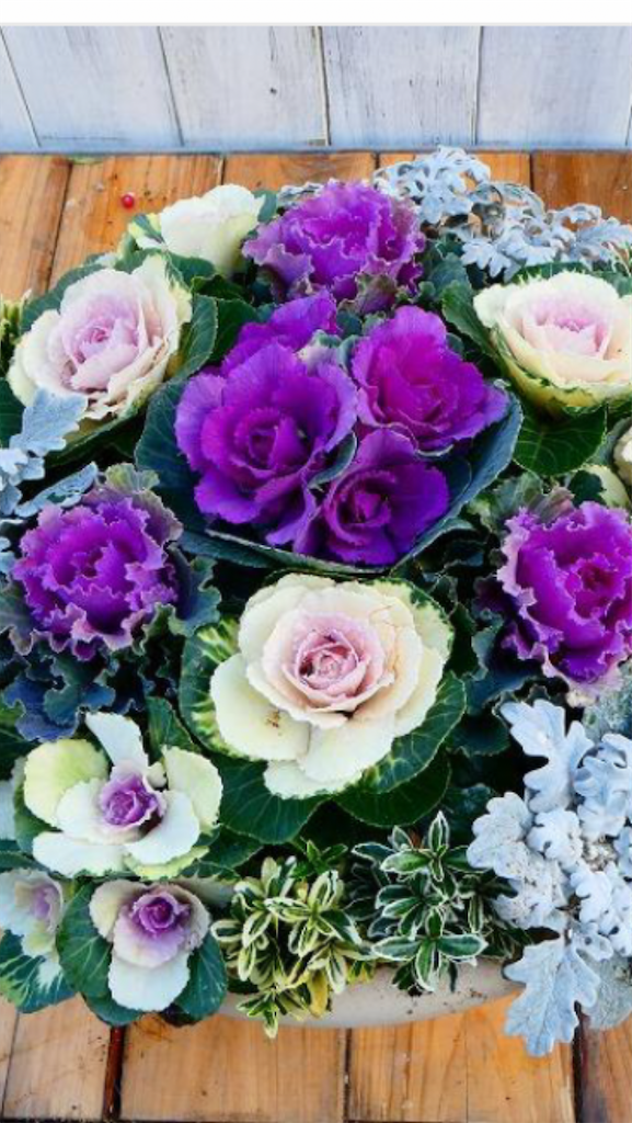 f:id:sutekidane:20221207102456p:image f:id:sutekidane:20221207102456p:image