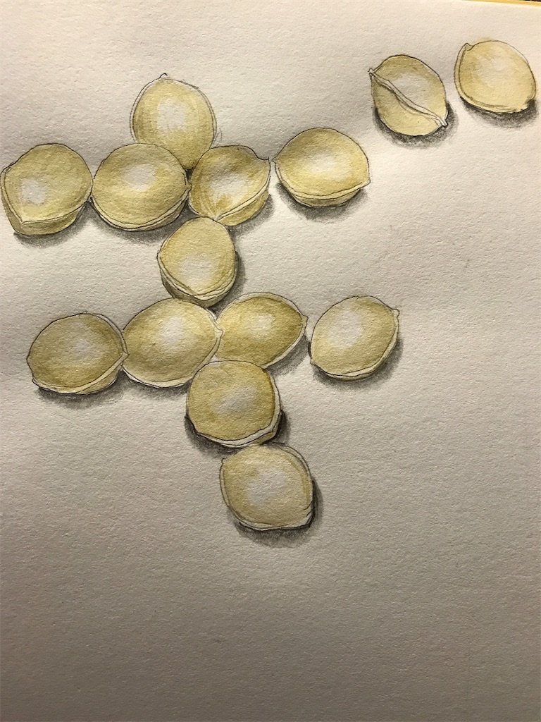 f:id:sutekidane:20230116091322j:image f:id:sutekidane:20230116091322j:image