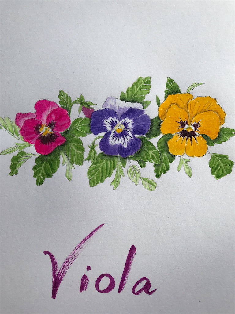 f:id:sutekidane:20230218063151j:image