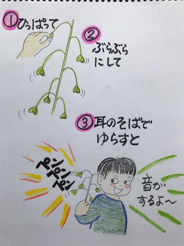 f:id:sutekidane:20230414065316j:image f:id:sutekidane:20230414065316j:image