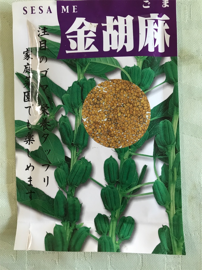 f:id:sutekidane:20230513082149j:image f:id:sutekidane:20230513082149j:image