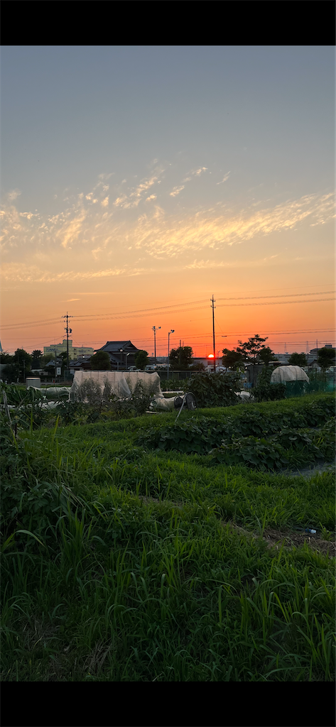 f:id:sutekidane:20230707044004p:image f:id:sutekidane:20230707044004p:image