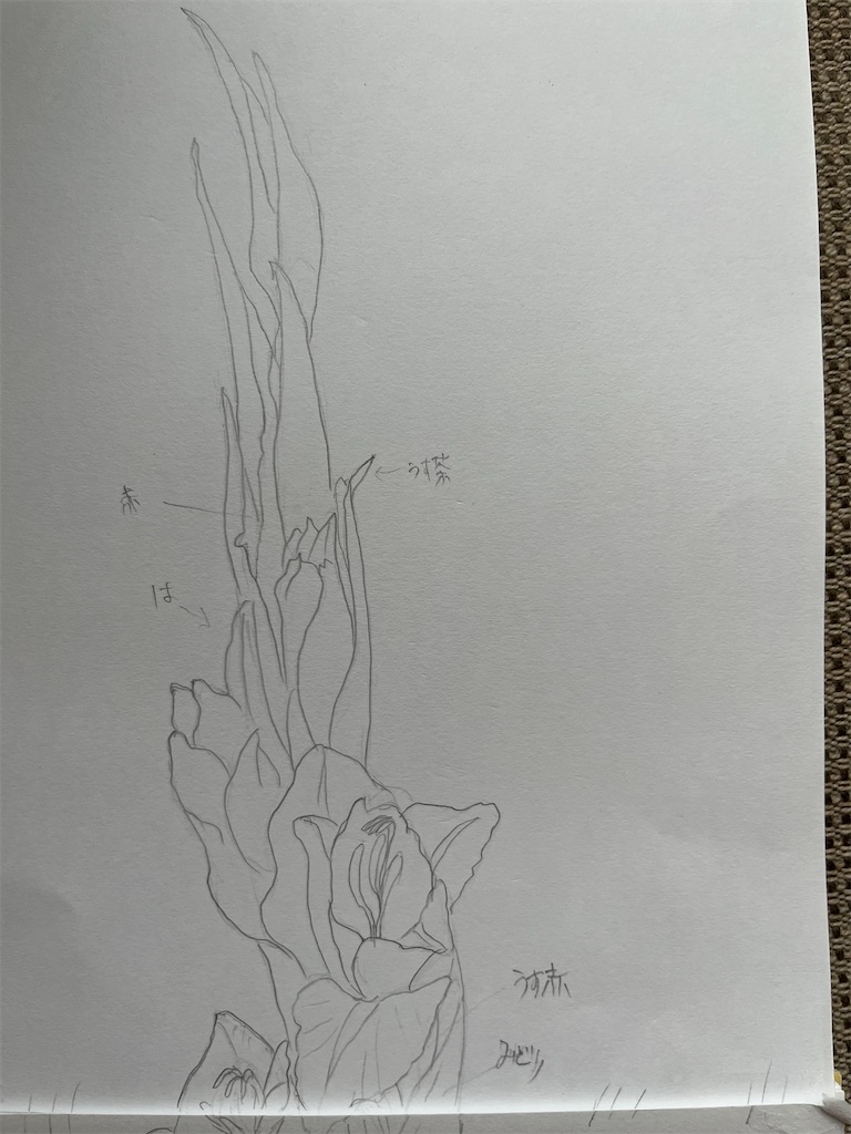 f:id:sutekidane:20230707172031j:image