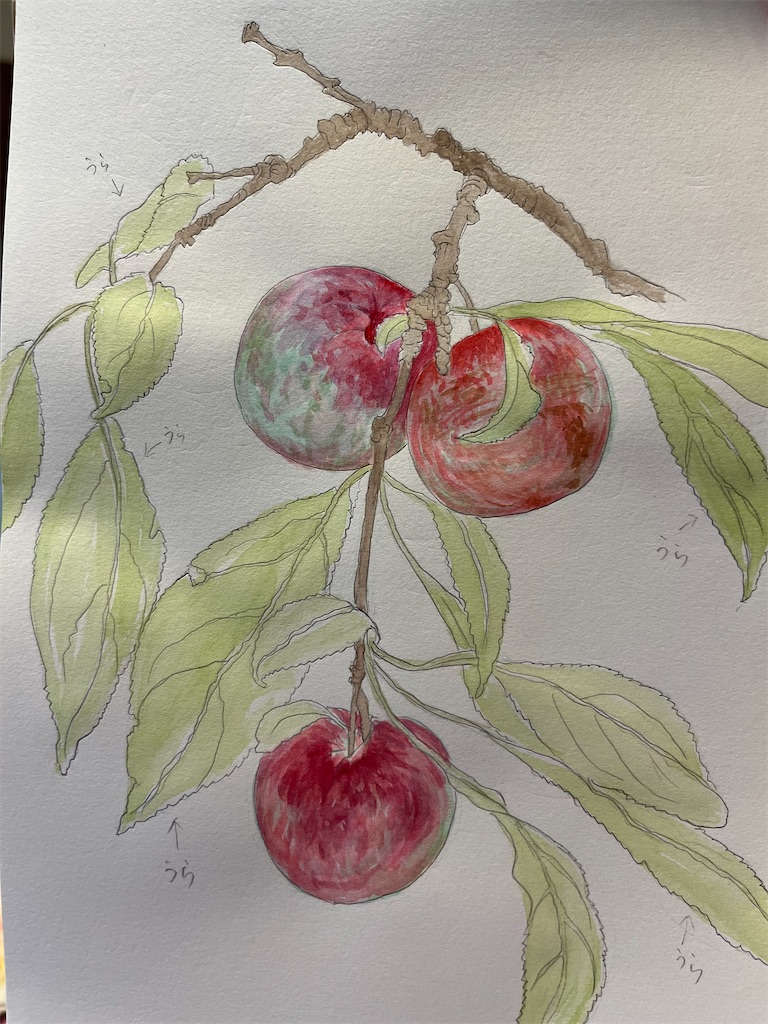 f:id:sutekidane:20230720093823j:image
