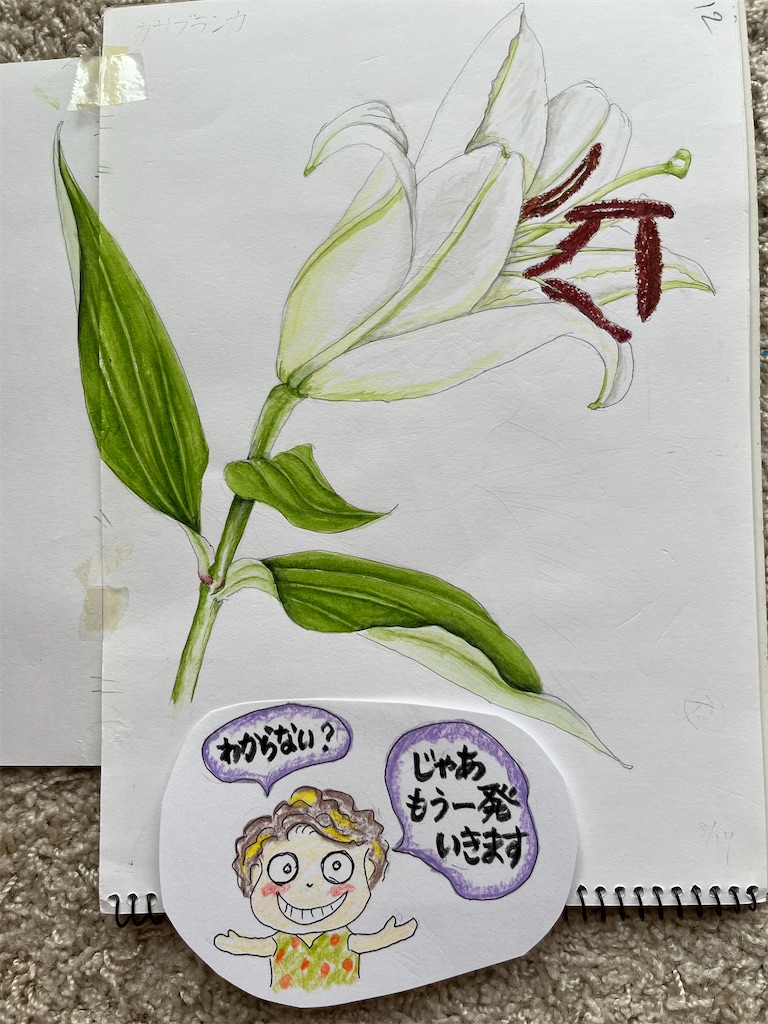 f:id:sutekidane:20230821070812j:image f:id:sutekidane:20230821070812j:image