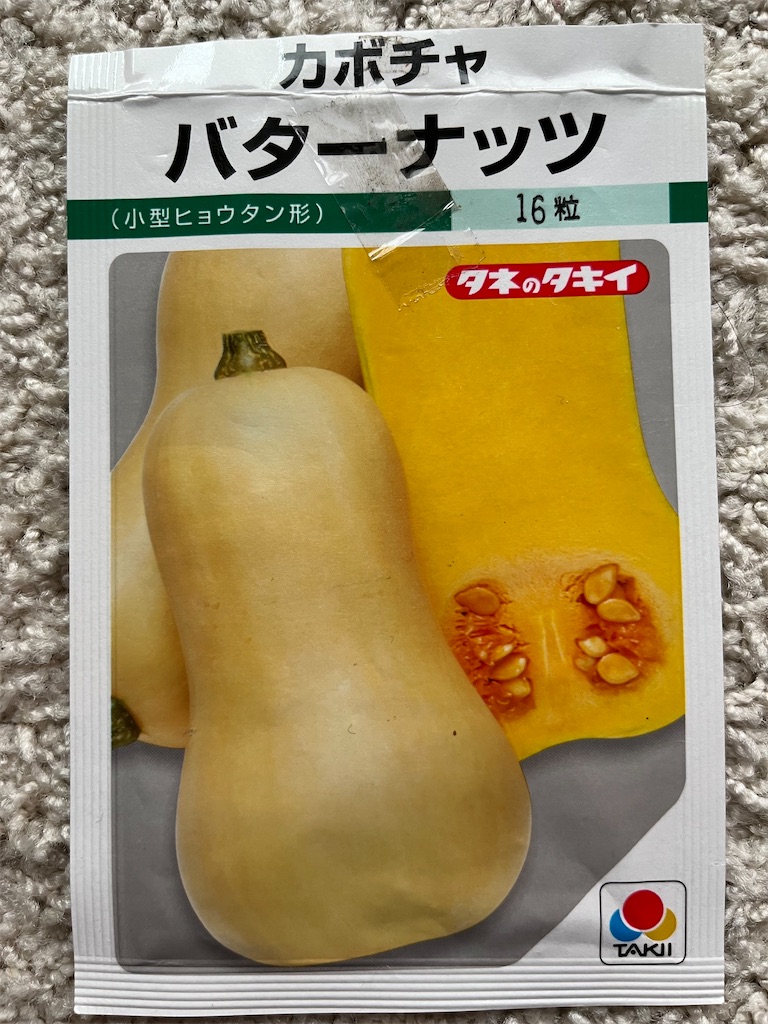 f:id:sutekidane:20230824160519j:image f:id:sutekidane:20230824160519j:image