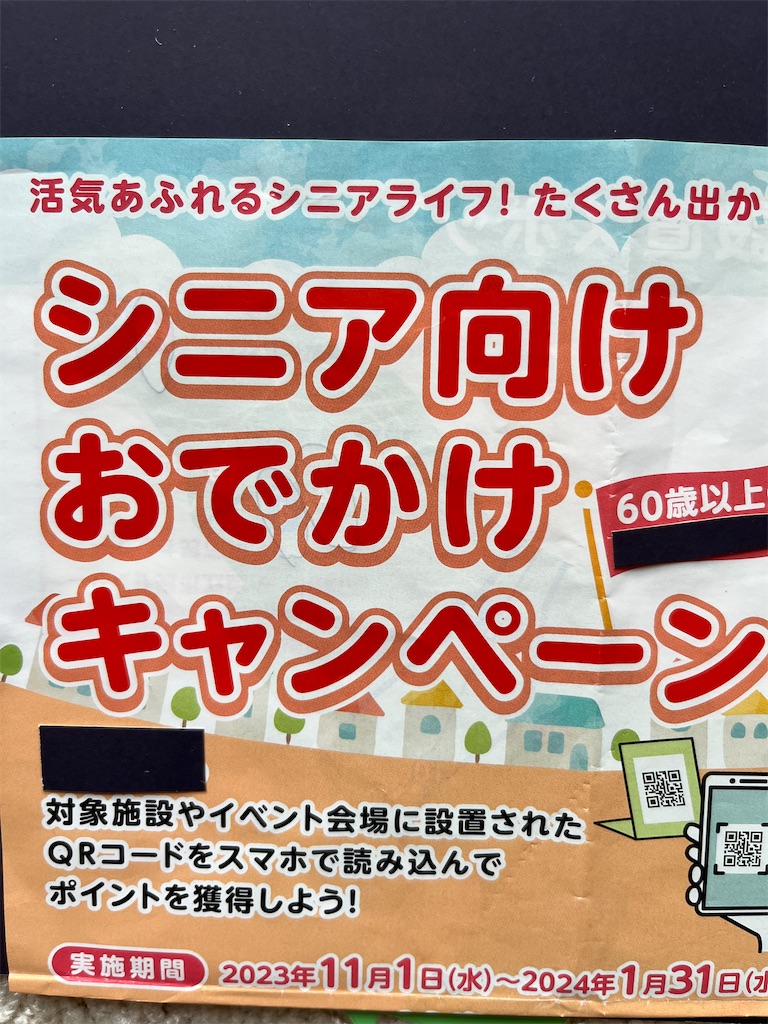 f:id:sutekidane:20231202065707j:image
