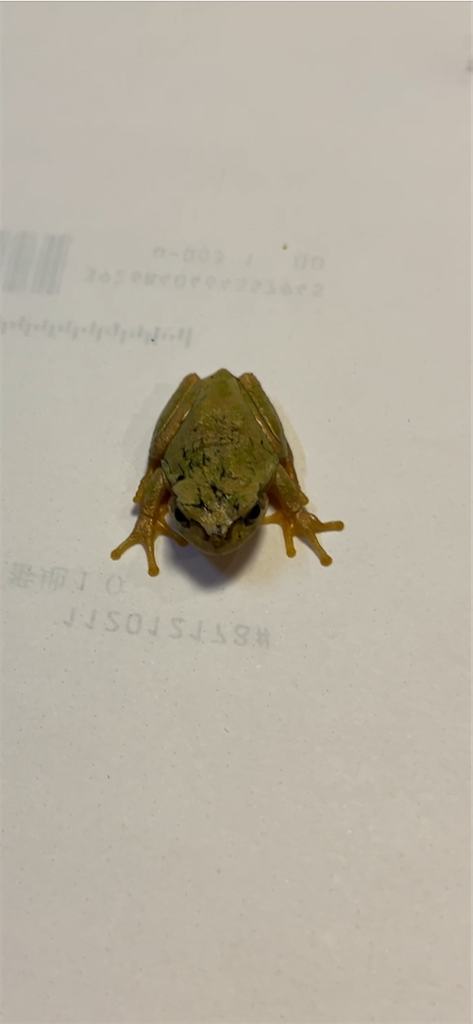 f:id:sutekidane:20231208060719p:image f:id:sutekidane:20231208060719p:image