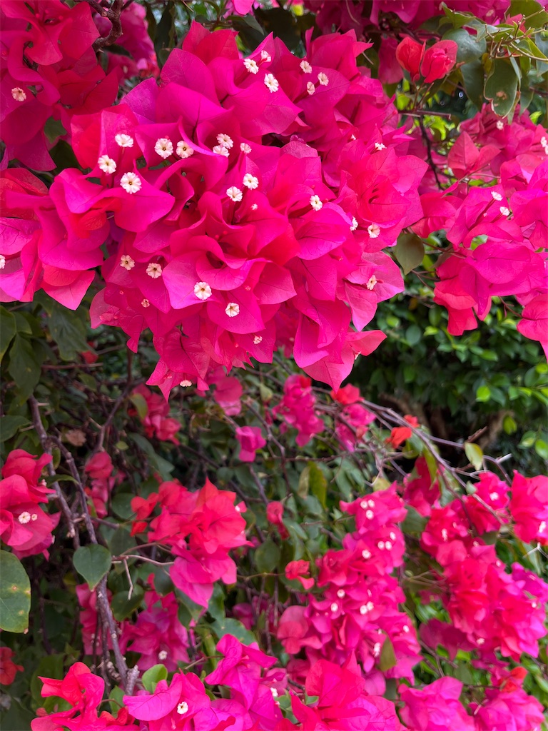 f:id:sutekidane:20240211145646j:image f:id:sutekidane:20240211145646j:image