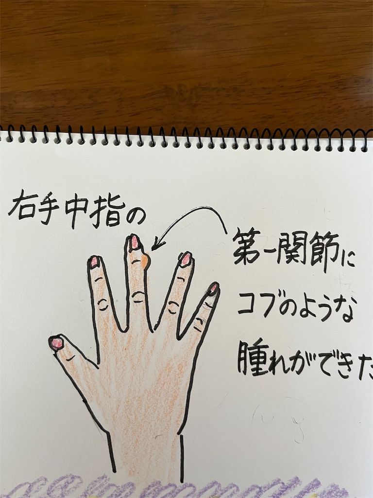 f:id:sutekidane:20240614171402j:image f:id:sutekidane:20240614171402j:image