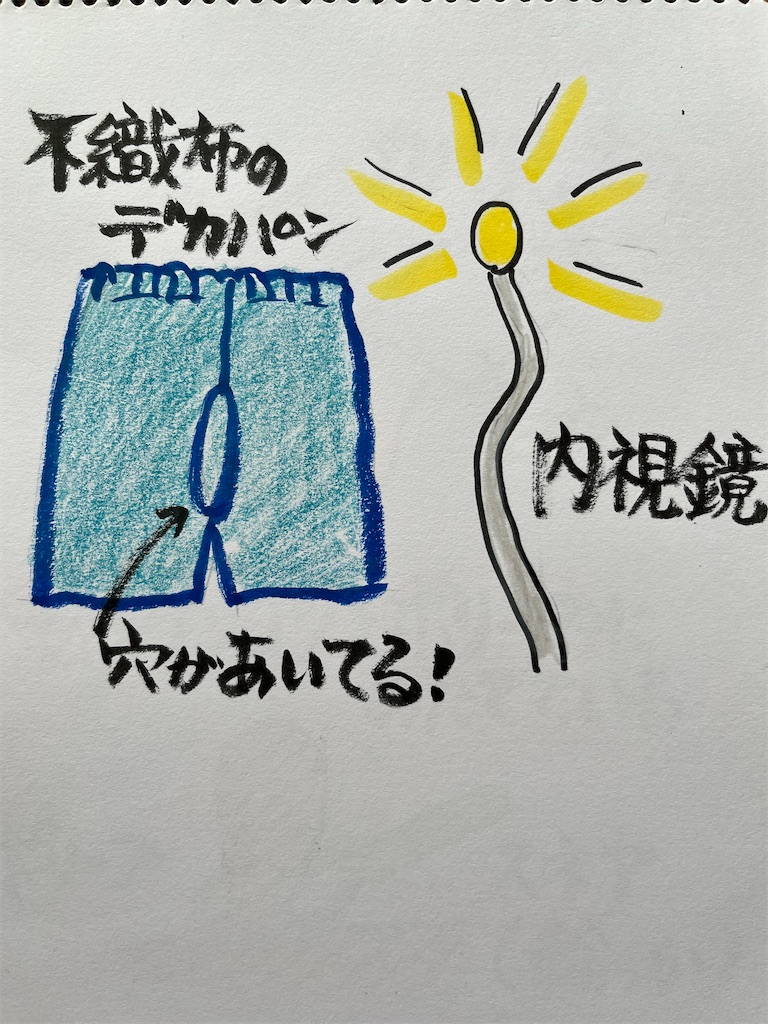 f:id:sutekidane:20240926075153j:image f:id:sutekidane:20240926075153j:image