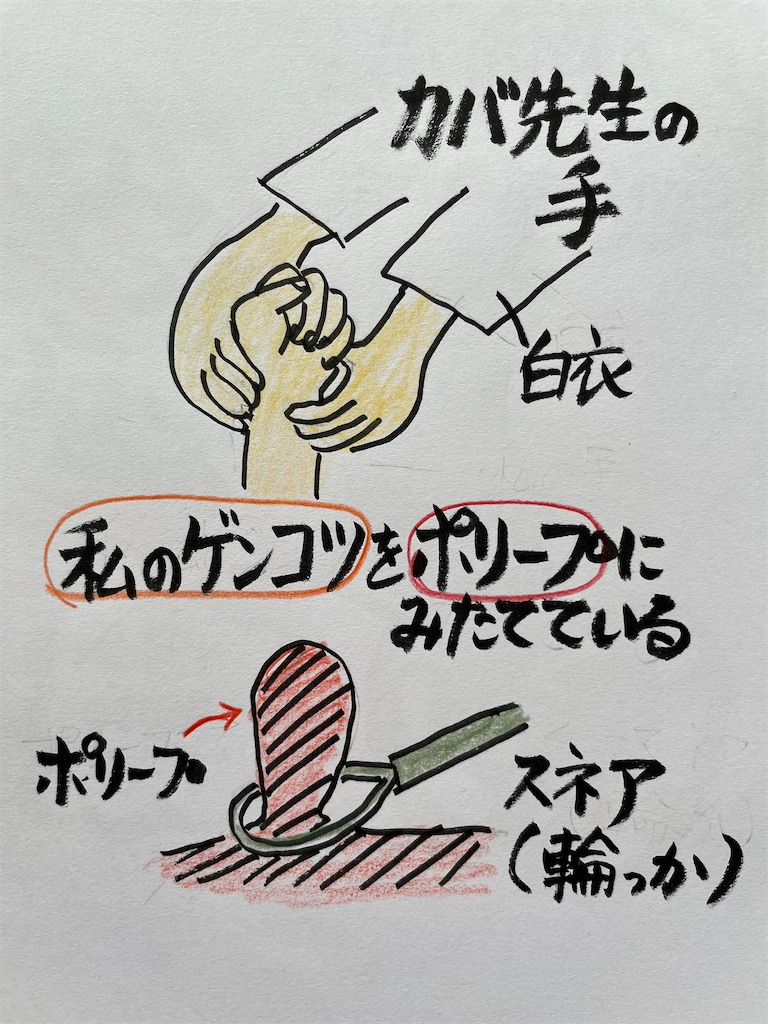 f:id:sutekidane:20240926075211j:image f:id:sutekidane:20240926075211j:image