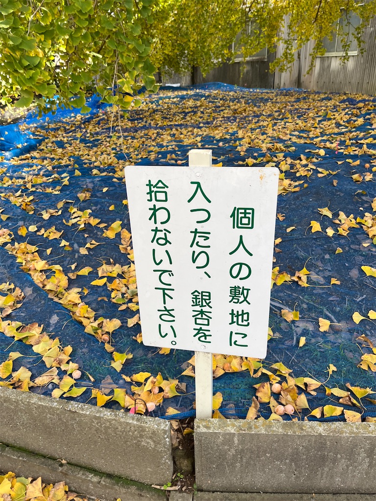 f:id:sutekidane:20241130143129j:image