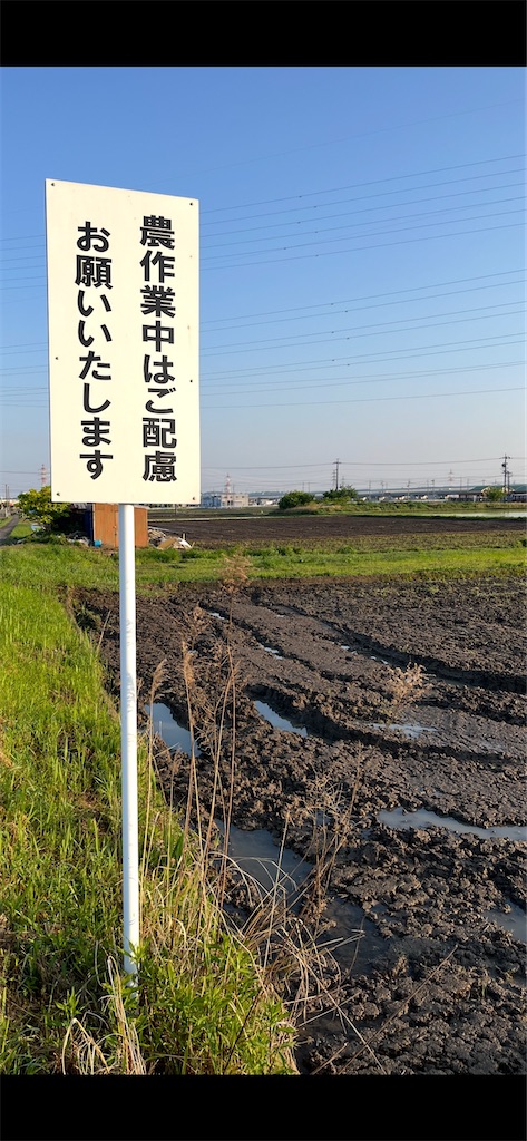 f:id:sutekidane:20250430045859j:image f:id:sutekidane:20250430045859j:image