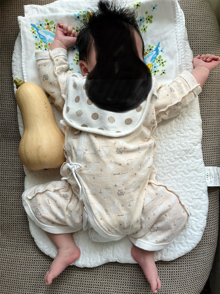 f:id:sutekidane:20250811072035j:image