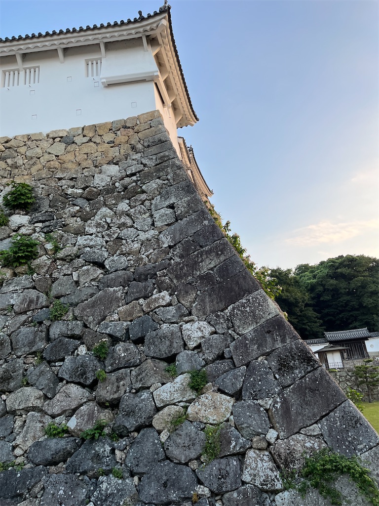 f:id:sutekidane:20250907054359j:image
