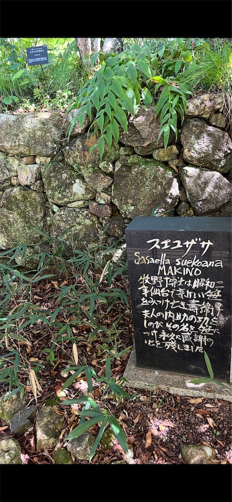 f:id:sutekidane:20250913051508j:image f:id:sutekidane:20250913051508j:image