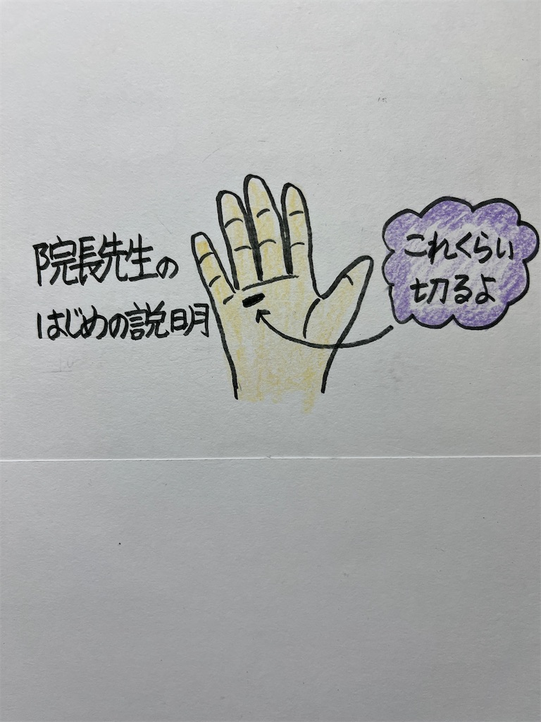 f:id:sutekidane:20251022194917j:image f:id:sutekidane:20251022194917j:image