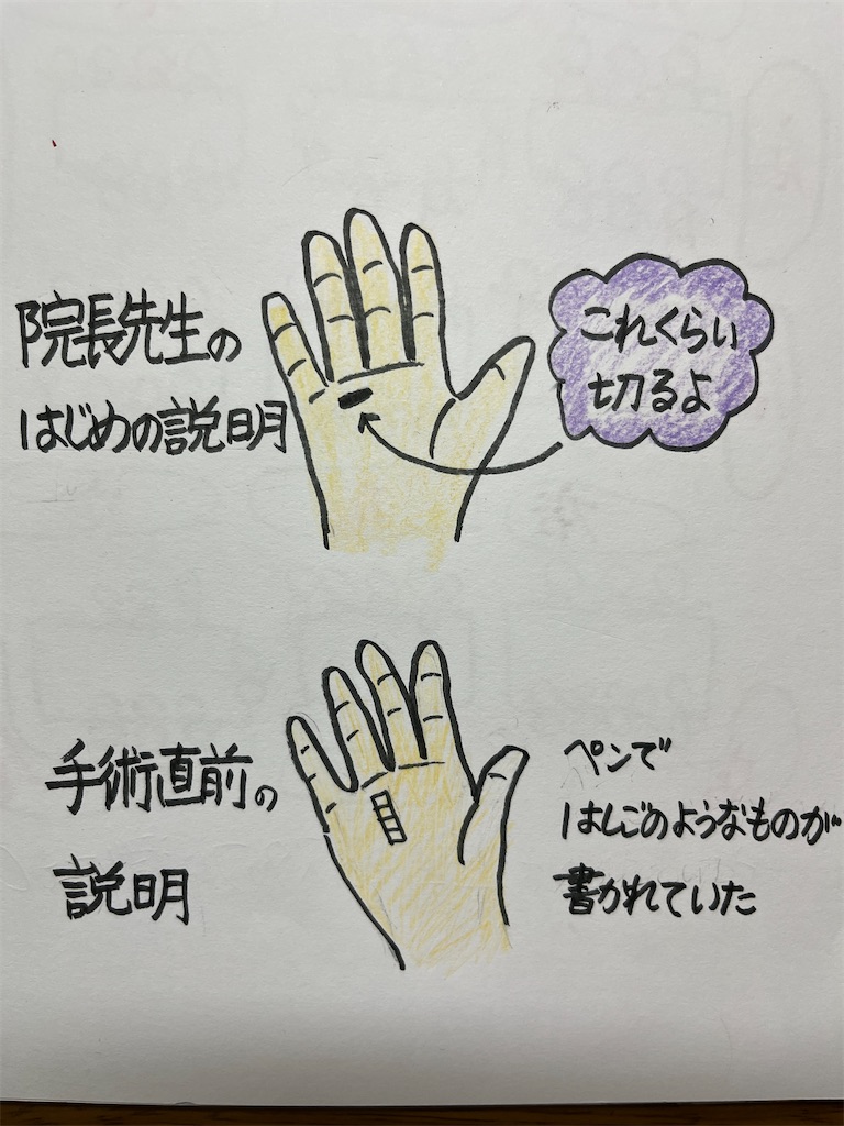 f:id:sutekidane:20251022210108j:image f:id:sutekidane:20251022210108j:image