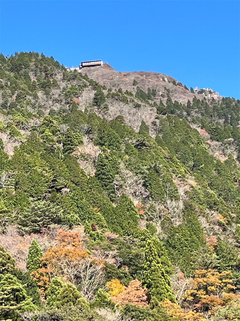 f:id:sutekidane:20251117102528j:image f:id:sutekidane:20251117102528j:image