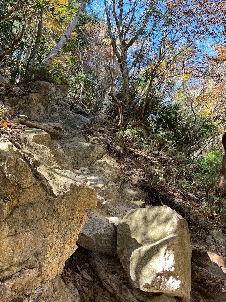 f:id:sutekidane:20251117103340j:image f:id:sutekidane:20251117103340j:image