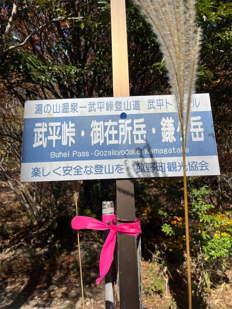 f:id:sutekidane:20251117104324j:image f:id:sutekidane:20251117104324j:image