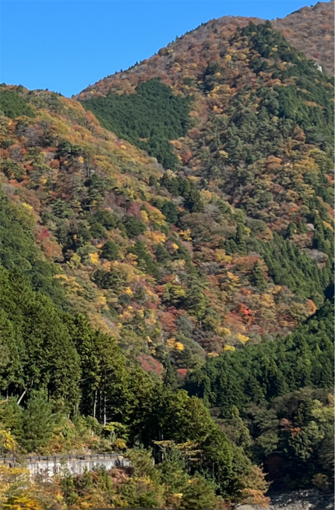 f:id:sutekidane:20251117144644p:image f:id:sutekidane:20251117144644p:image