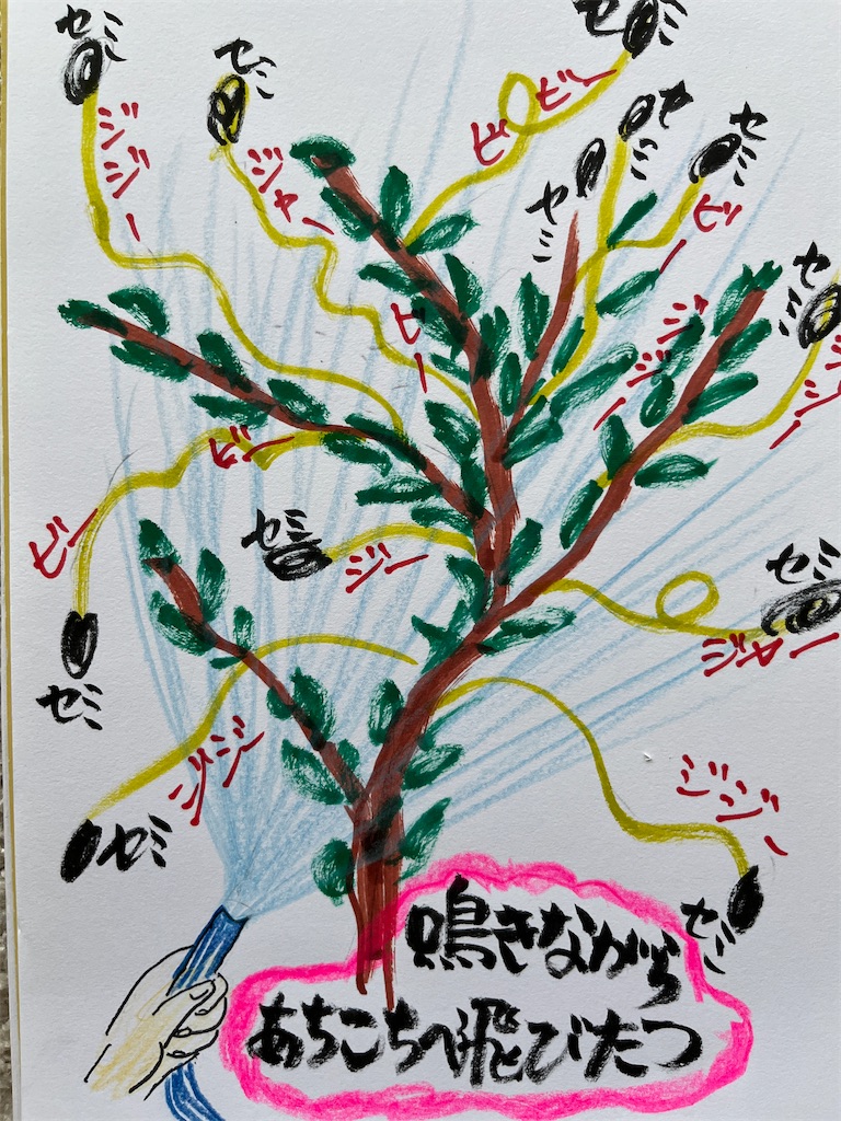 f:id:sutekidane:20260726065915j:image