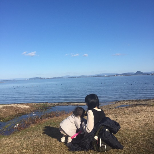 f:id:suteku:20170112142034j:plain