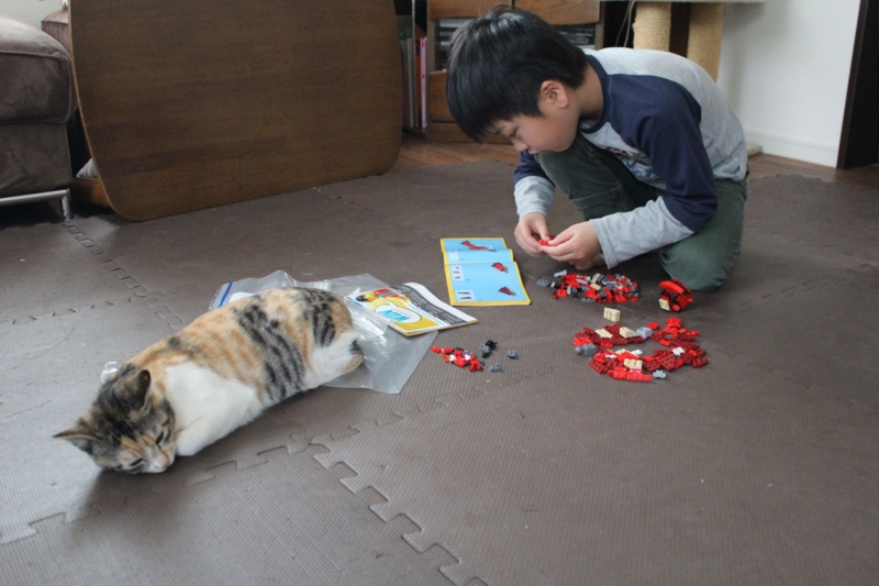 f:id:sutoko:20150412124812j:image f:id:sutoko:20150412124812j:image