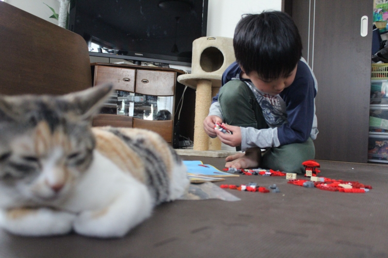 f:id:sutoko:20150412124912j:image f:id:sutoko:20150412124912j:image