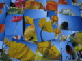 20110414182137