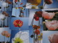 20110414182207