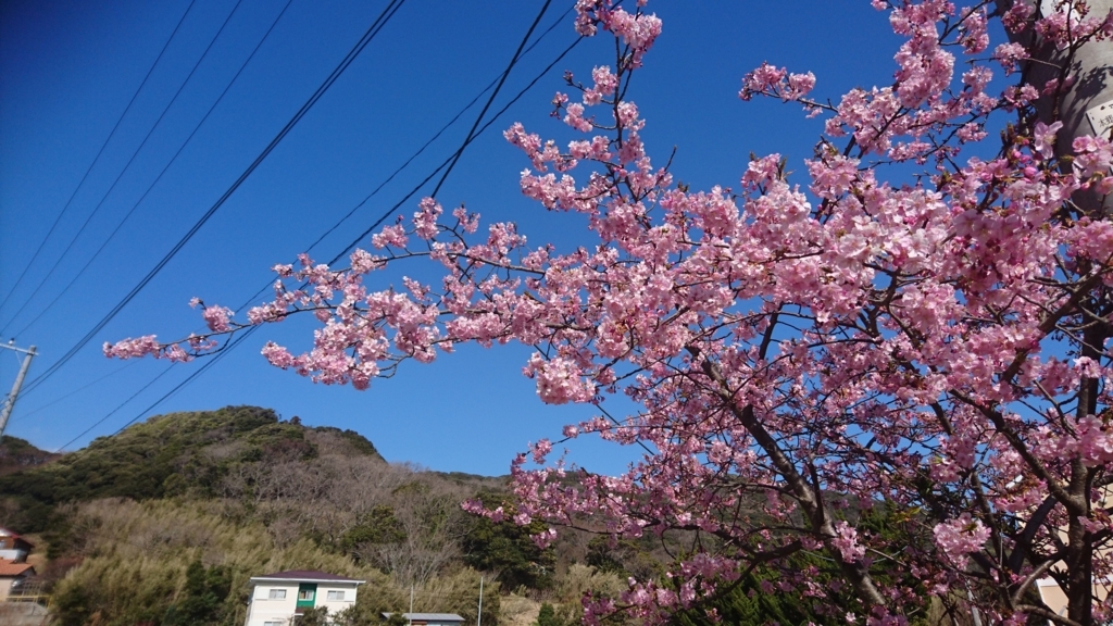 f:id:sututenten:20180226014828j:plain f:id:sututenten:20180226014828j:plain