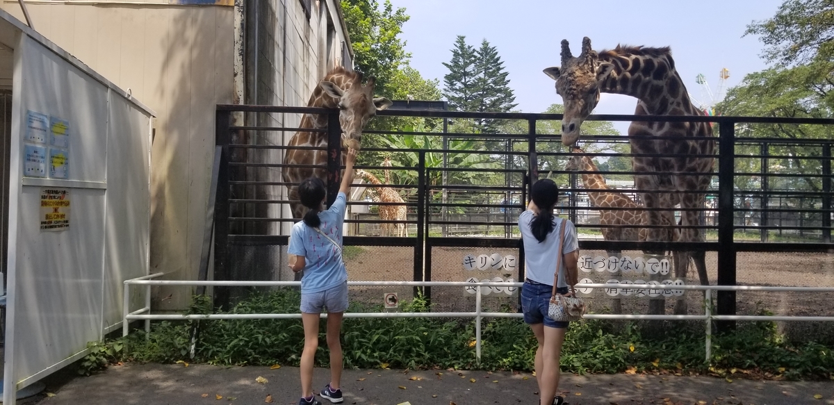 f:id:sututenten:20200829121809j:plain