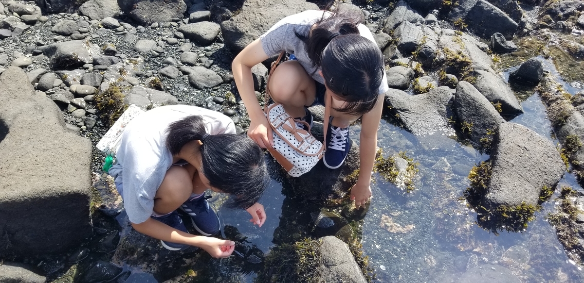 f:id:sututenten:20200829122518j:plain